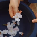 苏州旅游 缩略图 7