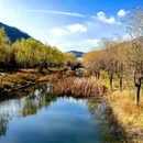 大连旅游 缩略图 9