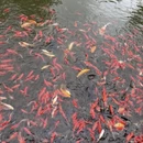 大连旅游 缩略图 10