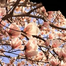 金华旅游 缩略图 3