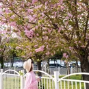成都旅游 缩略图 2
