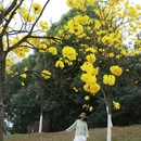 成都旅游 缩略图 14
