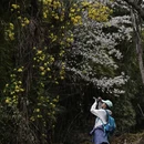 成都旅游 缩略图 1