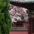 绵阳旅游 缩略图 8