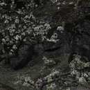 成都旅游 缩略图 8