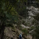 成都旅游 缩略图 2