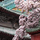 绵阳旅游 缩略图 5