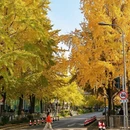成都旅游 缩略图 1