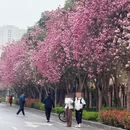 西安旅游 缩略图 17