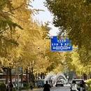 成都旅游 缩略图 2