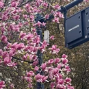 西安旅游 缩略图 18