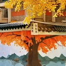 成都旅游 缩略图 6