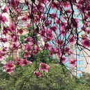 西安旅游 缩略图 15