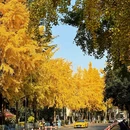 成都旅游 缩略图 7