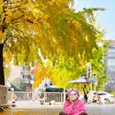 成都旅游 缩略图 11