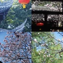金华旅游 缩略图 11