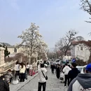 青岛旅游 缩略图 1
