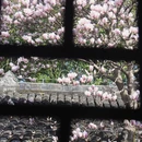 金华旅游 缩略图 9