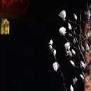 金华旅游 缩略图 10
