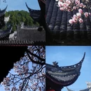 金华旅游 缩略图 3