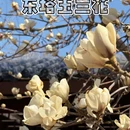沈阳旅游 缩略图 1