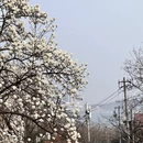 青岛旅游 缩略图 8