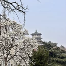 青岛旅游 缩略图 5
