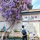 成都旅游 缩略图 1