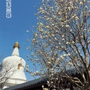 沈阳旅游 缩略图 2