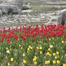 青岛旅游 缩略图 3