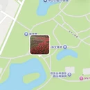 青岛旅游 缩略图 4