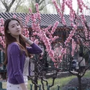 中山旅游 缩略图 9