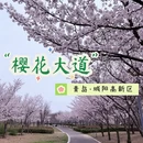 青岛旅游 缩略图 1