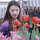 中山旅游 缩略图 11