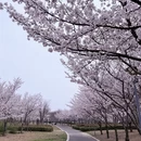 青岛旅游 缩略图 2