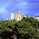 大连旅游 缩略图 13