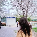武汉旅游 缩略图 2