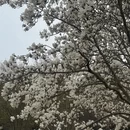 烟台旅游 缩略图 3