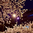 青岛旅游 缩略图 13