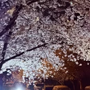 青岛旅游 缩略图 15