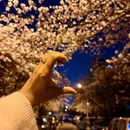 青岛旅游 缩略图 10