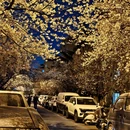 青岛旅游 缩略图 14