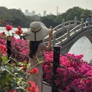 中山旅游 缩略图 2