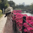 中山旅游 缩略图 3