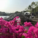 中山旅游 缩略图 4