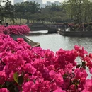 中山旅游 缩略图 8