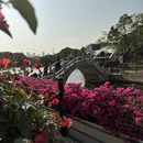 中山旅游 缩略图 6