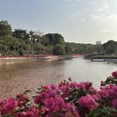 中山旅游 缩略图 9