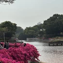 中山旅游 缩略图 10
