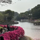 中山旅游 缩略图 5
